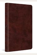 Esv Large Print Thinline Bible (Trutone, Mahogany)