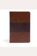 CSB Large Print Personal Size Reference Bible, Saddle Brown LeatherTouch, Indexed