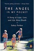 The Angel In My Pocket: A Story Of Love, Loss, And Life After Death