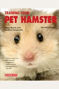 Training Your Pet Hamster