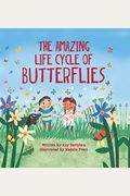 The Amazing Life Cycle Of Butterflies