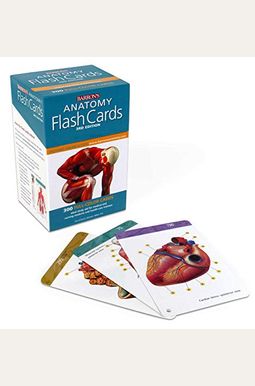 Anatomy Flash Cards Anatomy Flash Cards