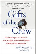 Gifts Of The Crow: How Perception, Emotion, And Thought Allow Smart Birds To Behave Like Humans