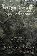 The Most Beautiful Roof In The World: Exploring The Rainforest Canopy