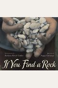 If You Find A Rock