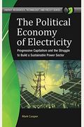 The Political Economy of Electricity: Progressive Capitalism and the Struggle to Build a Sustainable Power Sector