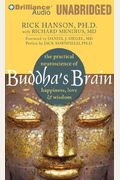 Buddha's Brain: The Practical Neuroscience Of Happiness, Love & Wisdom