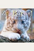 Zooborns!: Zoo Babies From Around The World