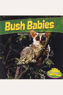 Buy Bush Babies Book By: Willow Clark