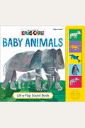 Eric Carle Baby Animal Little Lift And Listen