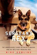 Sergeant Rex: The Unbreakable Bond Between A Marine And His Military Working Dog