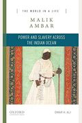 Malik Ambar: Power And Slavery Across The Indian Ocean (The World In A Life Series)
