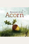 Because Of An Acorn: (Nature Autumn Books For Children, Picture Books About Acorn Trees)