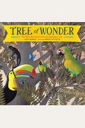 Tree Of Wonder: The Many Marvelous Lives Of A Rainforest Tree