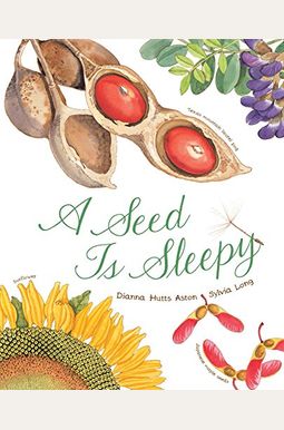 A Seed Is Sleepy A Seed Is Sleepy