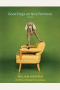 Good Dogs on Nice Furniture Notes: 20 Different Notecards & Envelopes