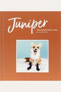 Juniper: The Happiest Fox: (Books About Animals, Fox Gifts, Animal Picture Books, Gift Ideas For Friends)