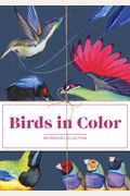 Birds In Color Notebook Collection