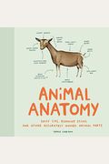 Animal Anatomy: Sniff Tips, Running Sticks, And Other Accurately Named Animal Parts