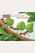 How Strong Is An Ant?: And Other Questions About... Bugs And Insects