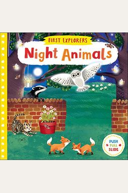Night Animals Night Animals