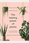 The Healing Power Of Plants: The Hero Houseplants That Will Love You Back