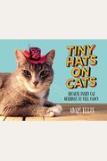 Tiny Hats On Cats: Because Every Cat Deserves To Feel Fancy