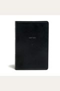 Kjv Everyday Study Bible, British Tan Leathertouch