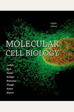 Molecular Cell Biology Molecular Cell Biology
