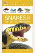 Nature Guide: Snakes And Other Reptiles And Amphibians: The World In Your Hands