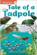 Tale Of A Tadpole