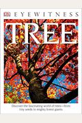 Dk Eyewitness Books: Tree: Discover The Fascinating World Of Trees From Tiny Seeds To Mighty Forest Giants