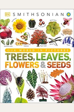 Trees, Leaves, Flowers And Seeds: A Visual Encyclopedia Of The Plant Kingdom Trees, Leaves, Flowers And Seeds: A Visual Encyclopedia Of The Plant Kingdom