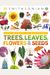 Trees, Leaves, Flowers And Seeds: A Visual Encyclopedia Of The Plant Kingdom