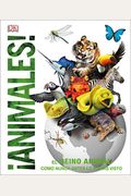 Animales (Knowledge Encyclopedia Animal!): El Reino Animal Como Nunca Lo HabíAs Visto
