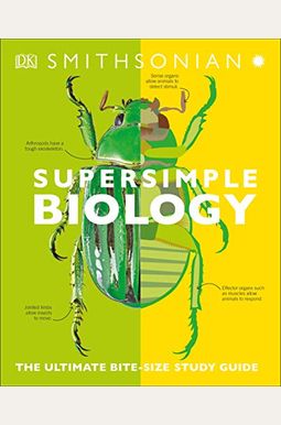 Super Simple Biology: The Ultimate Bitesize Study Guide
