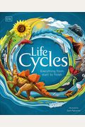 Los Ciclos De La Vida: Todo, Desde El Principio Hasta El Final