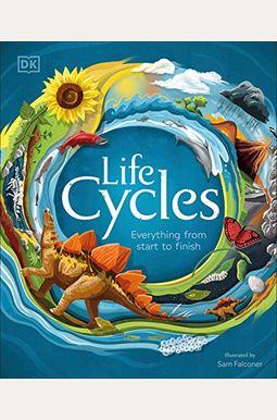 Life Cycles: Everything from Start to Finish Life Cycles: Everything from Start to Finish