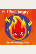 I Feel Angry: Why Do I Feel Angry Today?