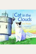 Cat In The Clouds