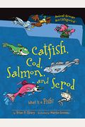 Catfish, Cod, Salmon, and Scrod: What Is a Fish? (Animal Groups Are Categorical)