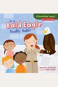 Is A Bald Eagle Really Bald?