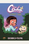 A Perfect View: Book 3