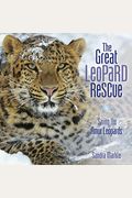 The Great Leopard Rescue: Saving The Amur Leopards