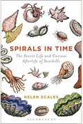 Spirals In Time: The Secret Life And Curious Afterlife Of Seashells