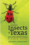 Common Insects Of Texas And Surrounding States: A Field Guide