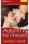 Autumn in the Vineyard