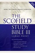 Scofield Study Bible Iii-Niv-Large Print