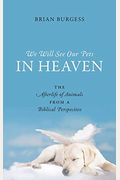 We Will See Our Pets In Heaven: The Afterlife Of Animals From A Biblical Perspective