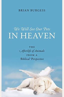 We Will See Our Pets In Heaven: The Afterlife Of Animals From A Biblical Perspective We Will See Our Pets In Heaven: The Afterlife Of Animals From A Biblical Perspective